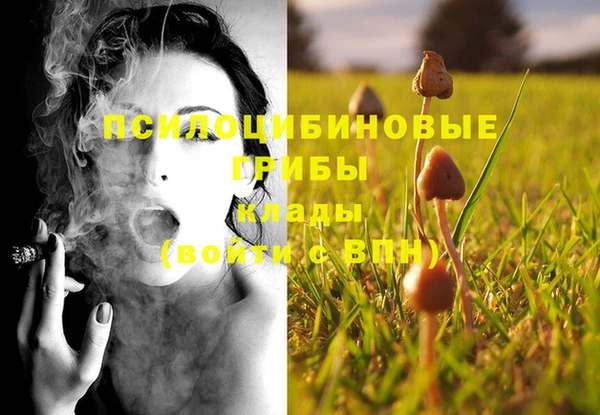 мяу мяу мука Гусиноозёрск