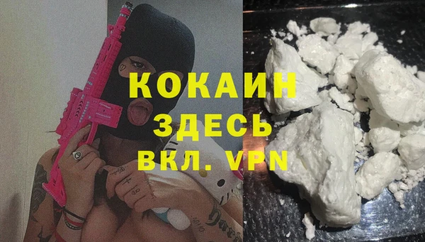 альфа пвп Дмитровск