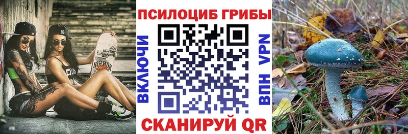 Купить где  Данков  Псилоцибиновые грибы Cubensis 
